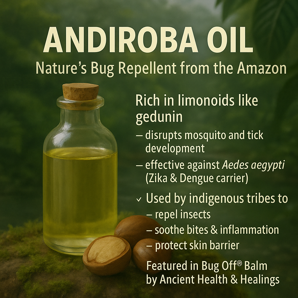 Outdoor Bundle